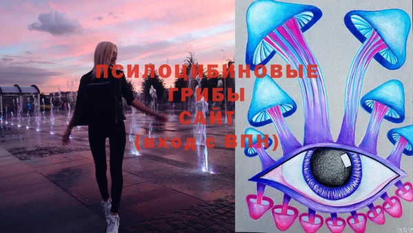 jwh Медвежьегорск
