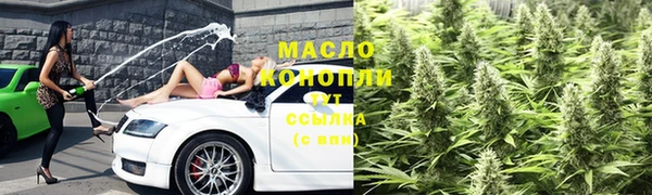 прущие крисы Бородино