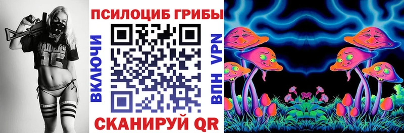 Псилоцибиновые грибы мицелий  Болгар 